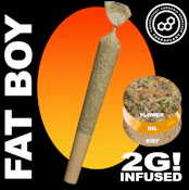Berry Hdz 2g Fatboy 42081