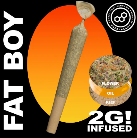 Theraplant - Berry Hdz 2g Fatboy 42081 Main Image