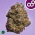 Product Preview Image 1
