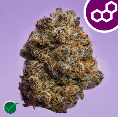 Theraplant - Jelly Roll 3.5g 42062 Main Image