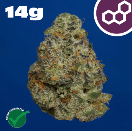 Theraplant - Plasma Gas 14g 42054 Main Image
