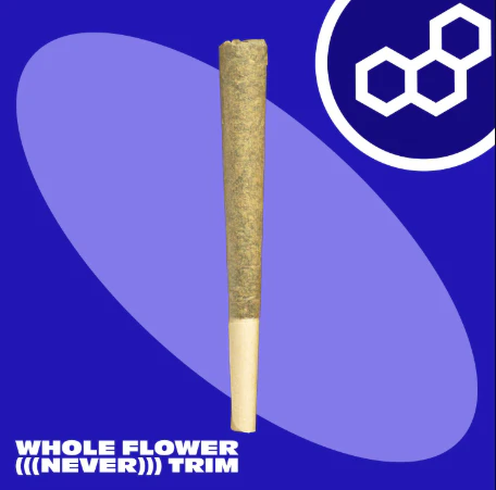 Theraplant - Solo Frost 1g PR 42070 Main Image
