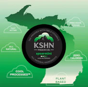 KSHN Pouch Co. - Spearmint - Pouches - 100mg