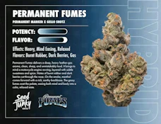 Permanent Fumes - 7g (H) - Seed Junky