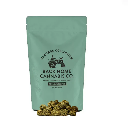 Back Home Cannabis Co. - Back Home Cannabis | Jack Herer | Flower | 14g Main Image