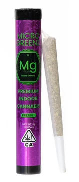 MICRO GREENS - Micro Greenz - Preroll - Purple Octane x Honey Banana - 1G Main Image