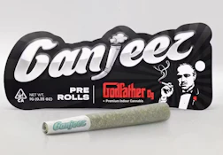 Ganjeez 1G Non-Infused Preroll Godfather OG (I)
