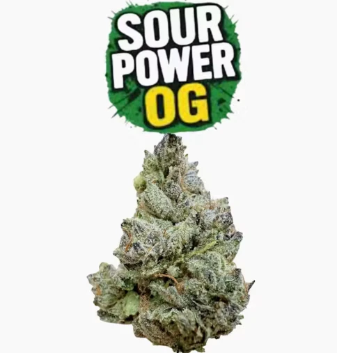 Supply - Sour Power OG - 14g Premium Indoor Flower (Supply) Main Image