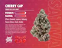Product Preview Image 2