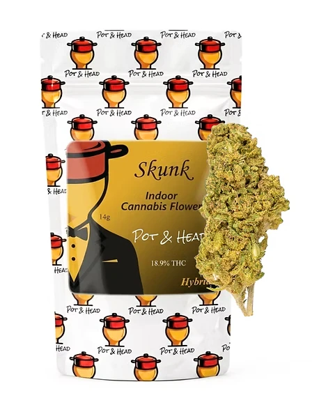 Pot & Head - pot & head | Flower | Skunk | 14G | Main Image