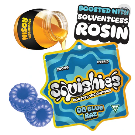 Squishies - Squishies | 200MG Solventless Rosin Gummies | OG Blue Razz Main Image