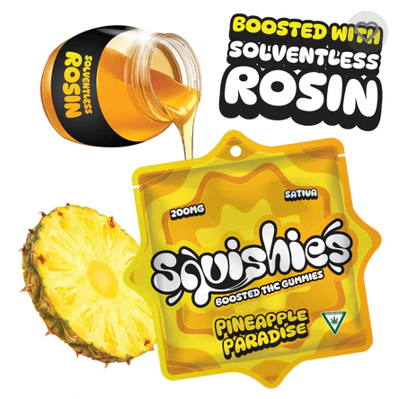Squishies - Squishies | 200MG Solventless Rosin Gummies | Pineapple Paradise Main Image