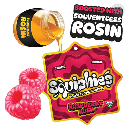 Squishies - Squishies | 200MG Solventless Rosin Gummies | Raspberry Kush Main Image