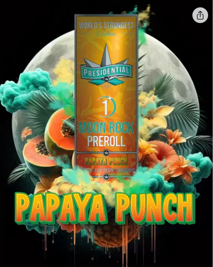 Presidential - Papaya Punch | 1g | Moonrock Preroll | Presidential Main Image