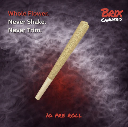 BRIX - Govmint Oasis 1g Pre Roll (H) 00594 Main Image
