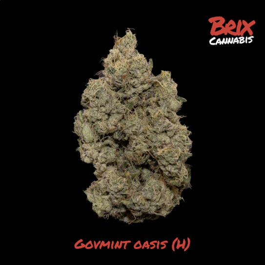 BRIX - Govmint Oasis Whole Flower 7g (H) 00580 Main Image
