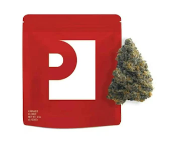 Preferred Gardens | Flower | Gelato 41 | 3.5G