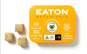 Eaton - Fixer Upper (Mango Ginger) - Gummies