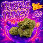Earl Baker Purple Punch 3.5g 0140