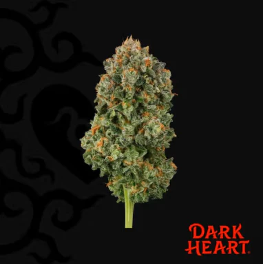 Dark Heart Collection - Dark Heart Collection Blackened Blue 3.5g (S) 01893 Main Image