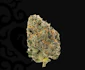 Product Preview Image 1