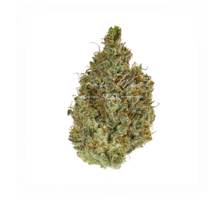 Grassroots - Grassroots 3.5g Lumberjack (S) 01900 Main Image