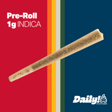 Daily! - Daily! Campfire 1g Pre-Roll 0094 Main Image