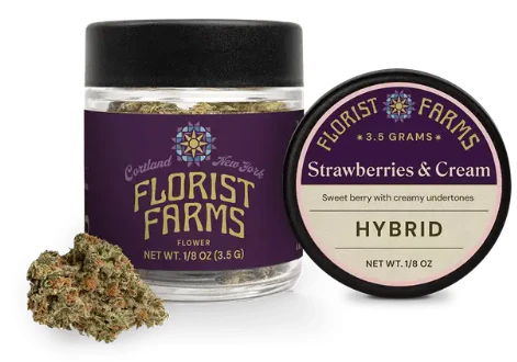 Florist Farms - Strawberries & Cream (3.5G Jar) Main Image