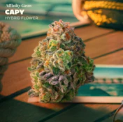 Capy Flower H 01061