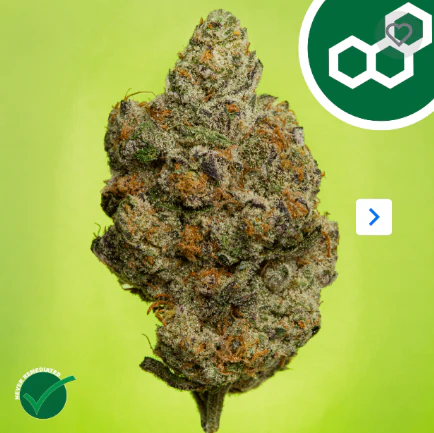 Theraplant - Carbon FBR 42085 Main Image