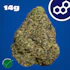 Product Preview Image 1