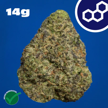 Theraplant - Wedding Cake 14g 42088 Main Image