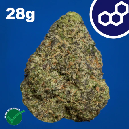 Theraplant - Wedding Cake 1oz 42089 Main Image