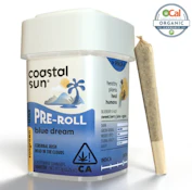 Coastal Sun Pre-rolls 14pk - Blue Dream 27%