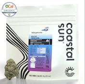 Coastal Sun Flower 14g - Bleuphoria 29%