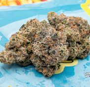 TEDS BUDZ 3.5G BB Belts Indoor Flower (NEW)