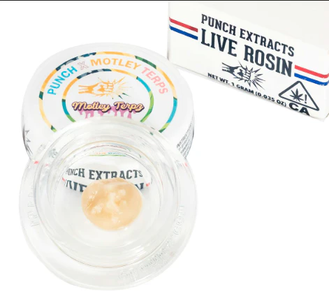 Punch Edibles & Extracts - Punch - Concentrate - Live Rosin Tier 2 - Pineapple Spritzer - 1G Main Image