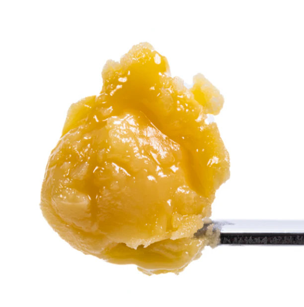 West Coast Cure - West Coast Cure - Badder - Durban Cookies - 1G Main Image