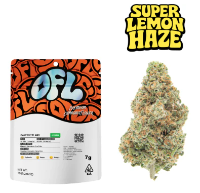 Oakfruitland (OFL) - Oakfruitland - Flower - Super Lemon Haze - 7G Main Image