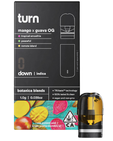 turn: Mango X Guava