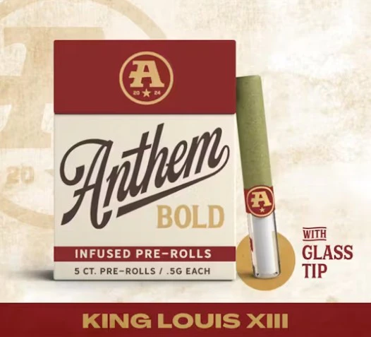 Anthem - Anthem | Preroll | Bold | Glass Tip Infused | King Louis XIII | 5 Pk | 2.5G Main Image