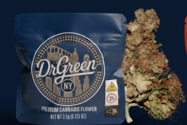 Dr Green - Dr.Green | Flower | Haze | 3.5G Main Image