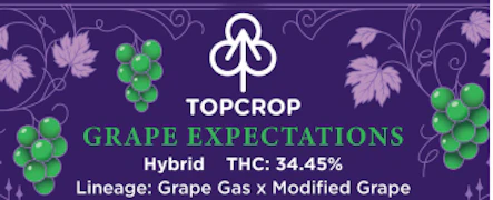 Top Crop - Grape Expectations - 3.5g