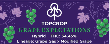 TopCrop - Top Crop - Grape Expectations - 3.5g Main Image