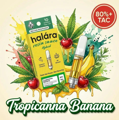 Halara - Tropicanna Banana - Live Diamonds Sauce - 1g (H) - Halara Main Image