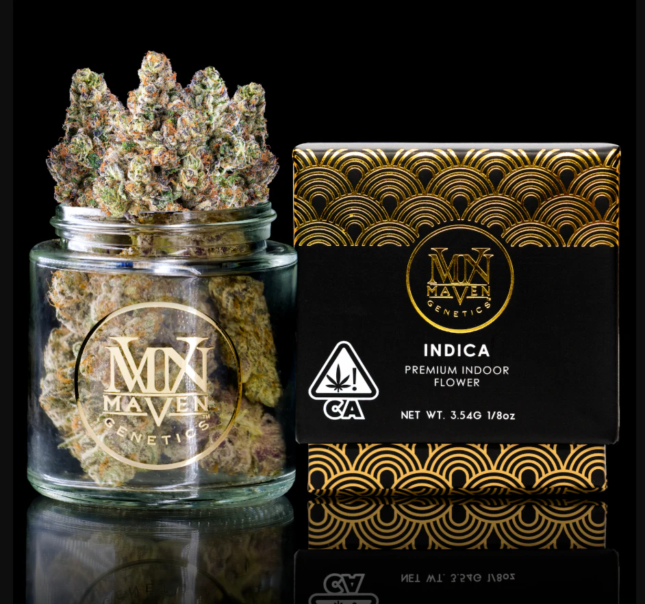 Maven Genetics - French Butter - 3.5g (I) - Maven Main Image