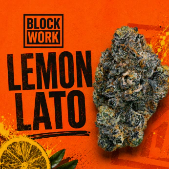 Blockwork - BlockWork- Whole Flower- Lemon Lato 00024 Main Image