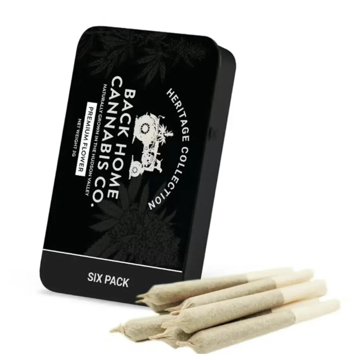 Back Home Cannabis Co. - Back Home Cannabis | Jack Herer | Pre-Roll 6 Pack | 3g Main Image