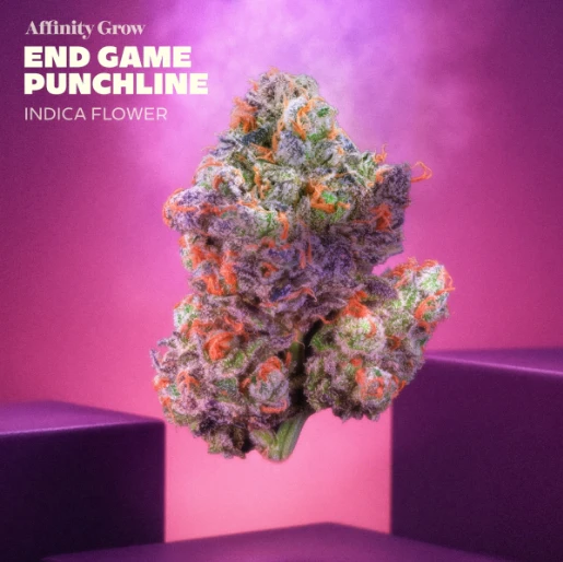 AFFINITY - Endgame Punchline Flower (I) 00895 Main Image