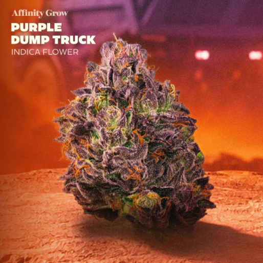 AFFINITY - Purple Dump Truck Flower (I) 01048 Main Image